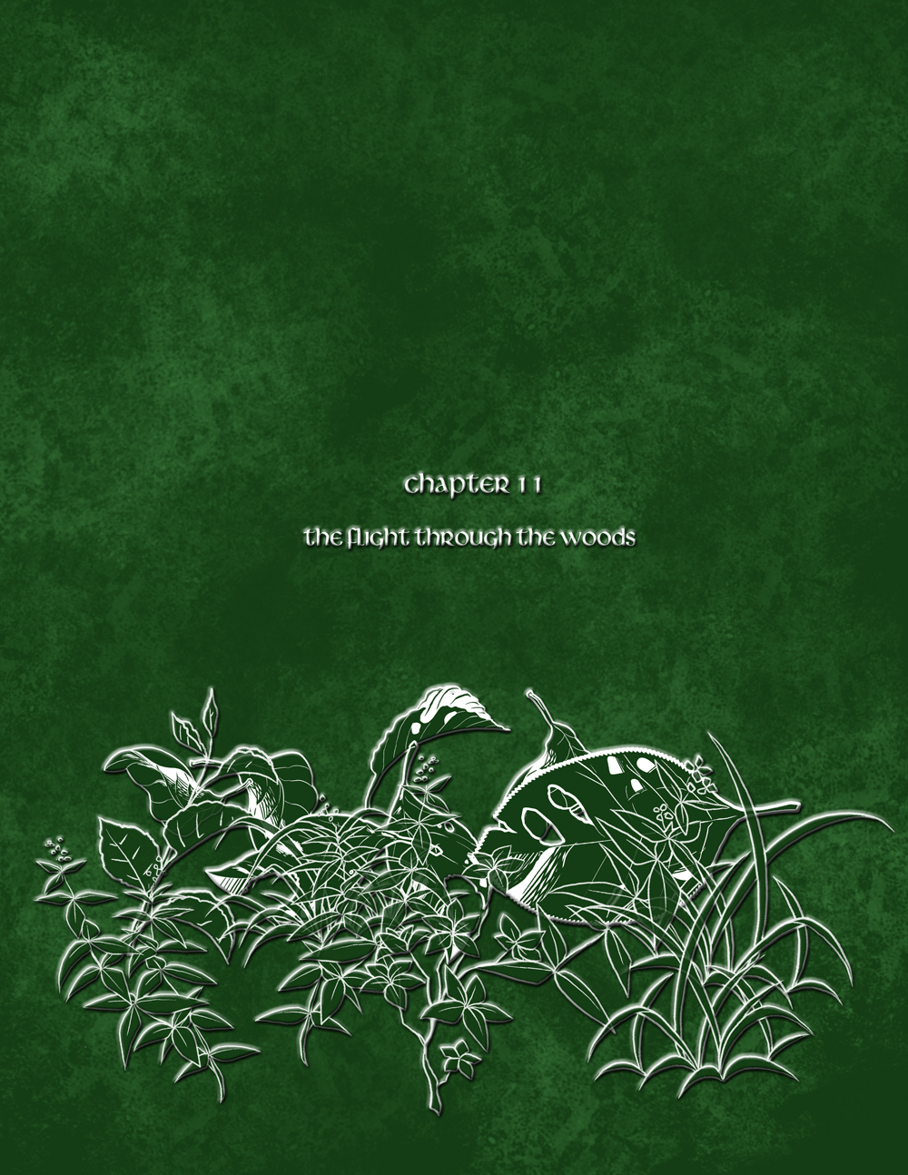 Chapter Eleven: Cover