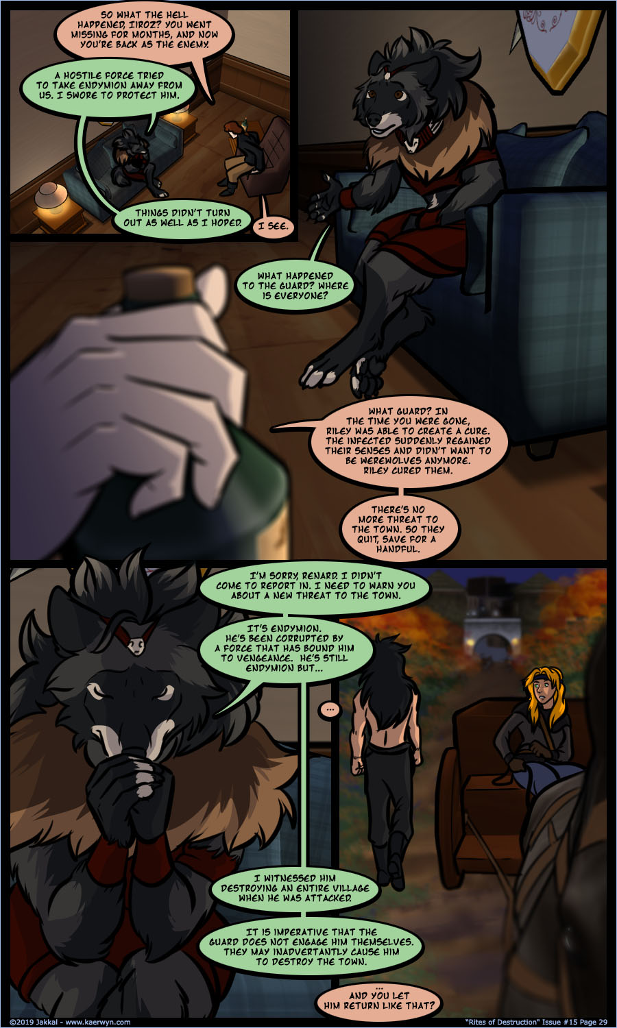 Issue 15 Page 29