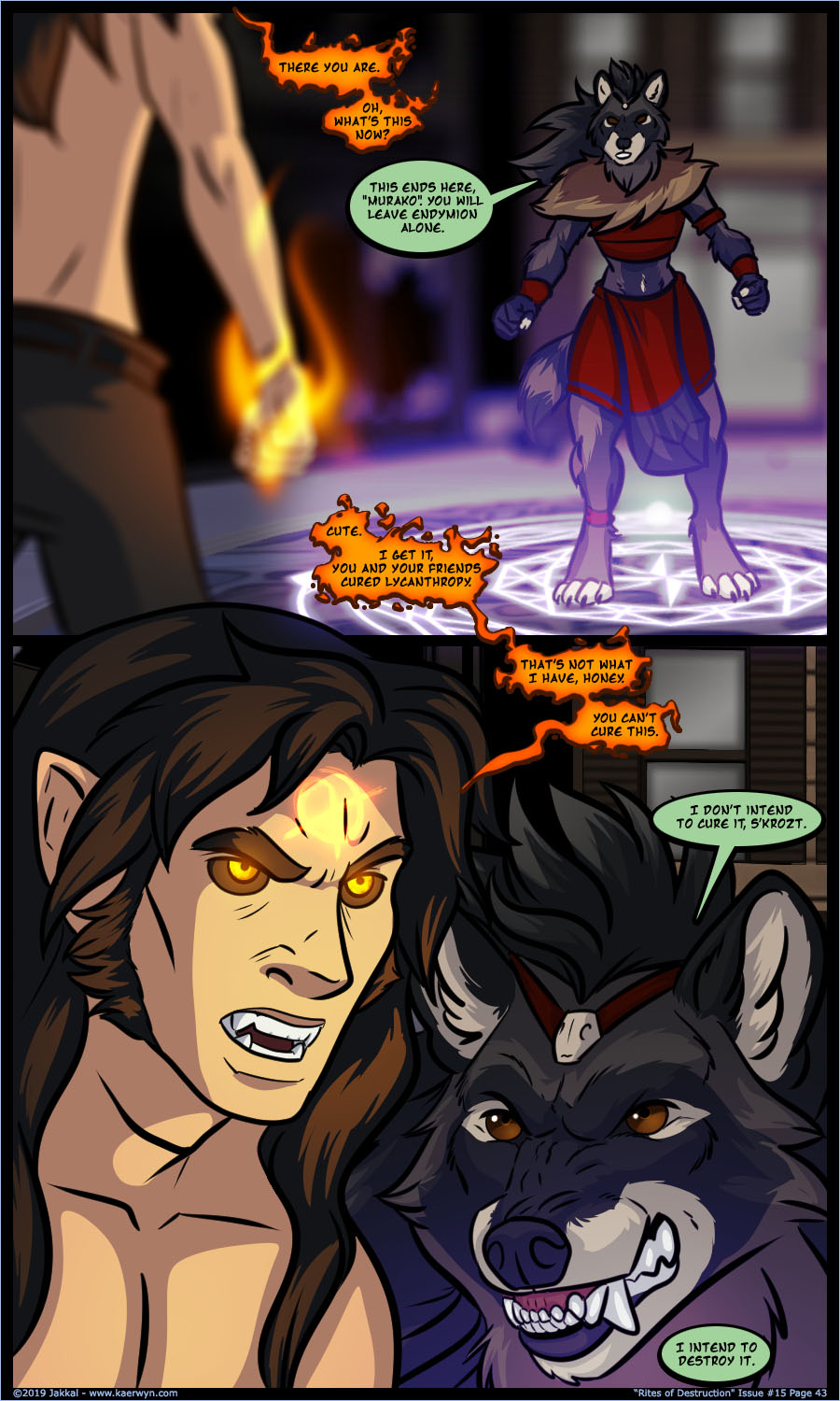 Issue 15 Page 43