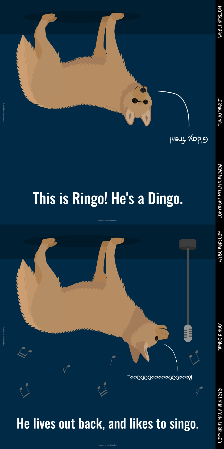 Ringo Dingo