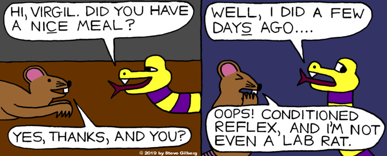 Rat Reflex