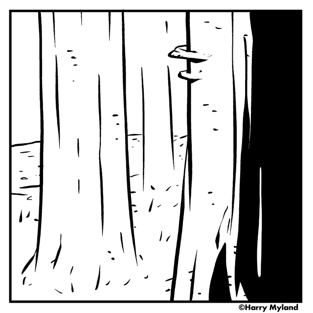 Lost in the Woods, Part 1
