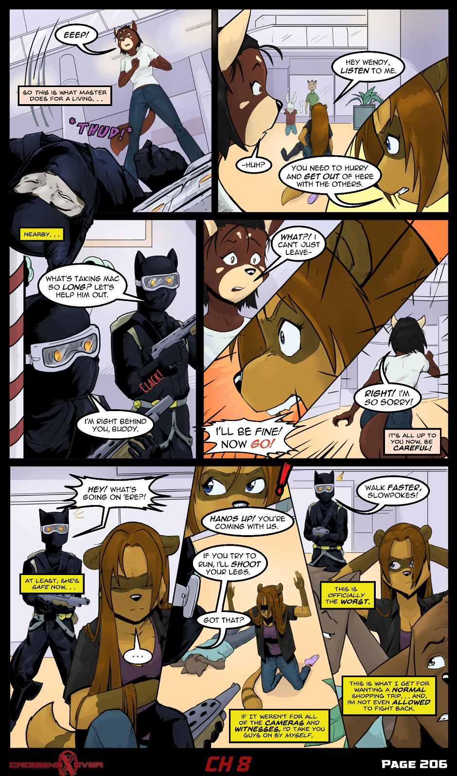 Page 206 (Ch 8)
