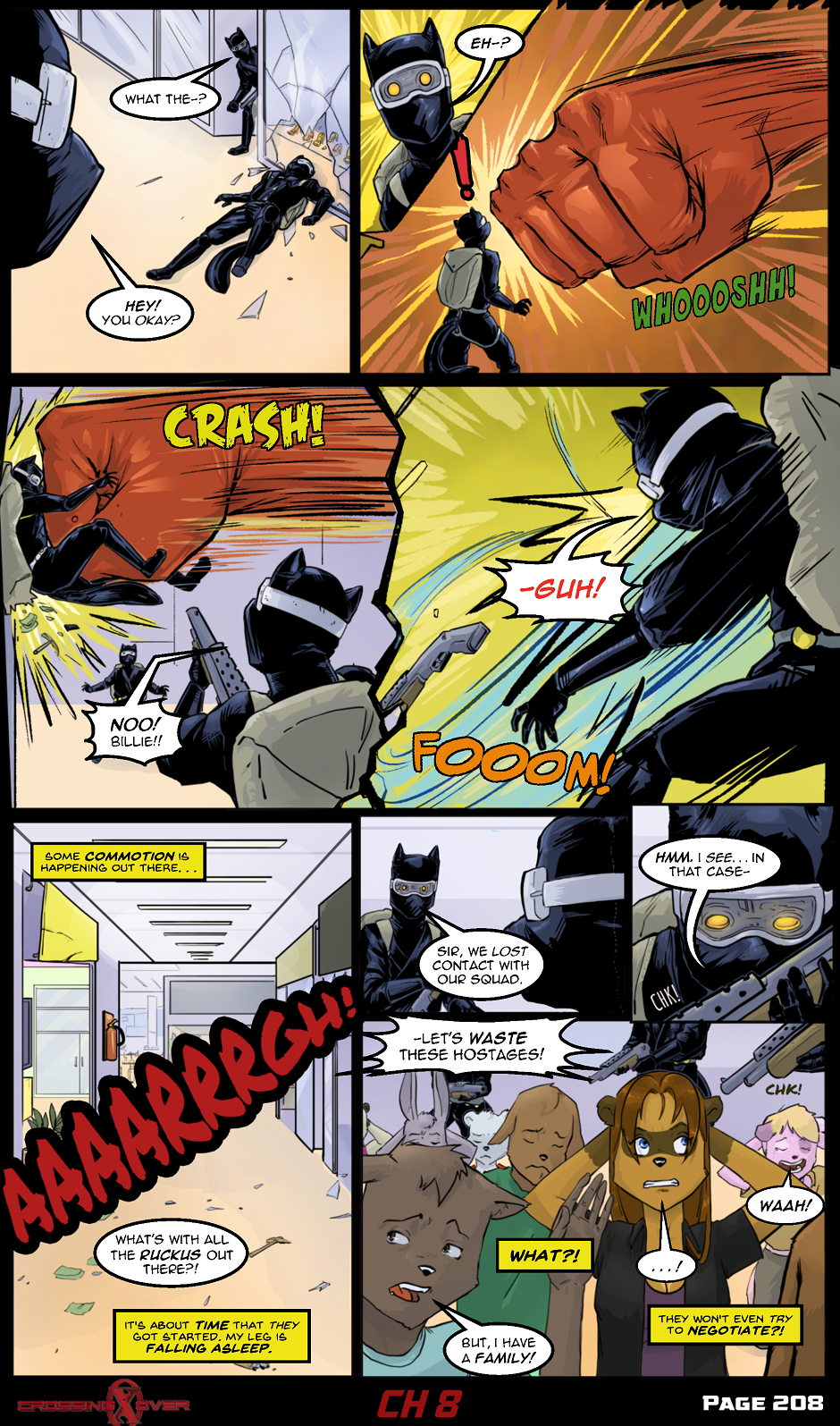 Page 208 (Ch 8)