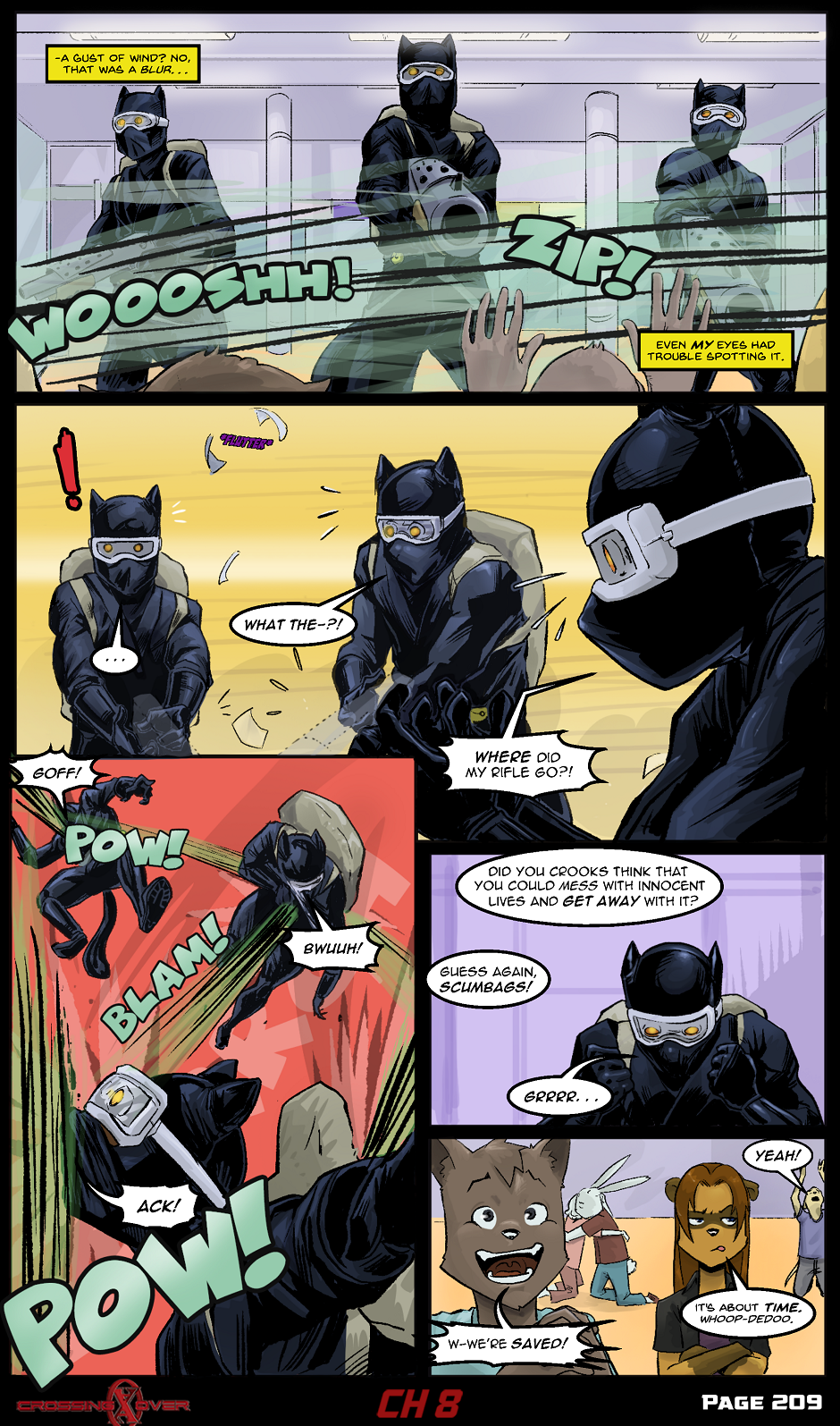Page 209 (Ch 8)