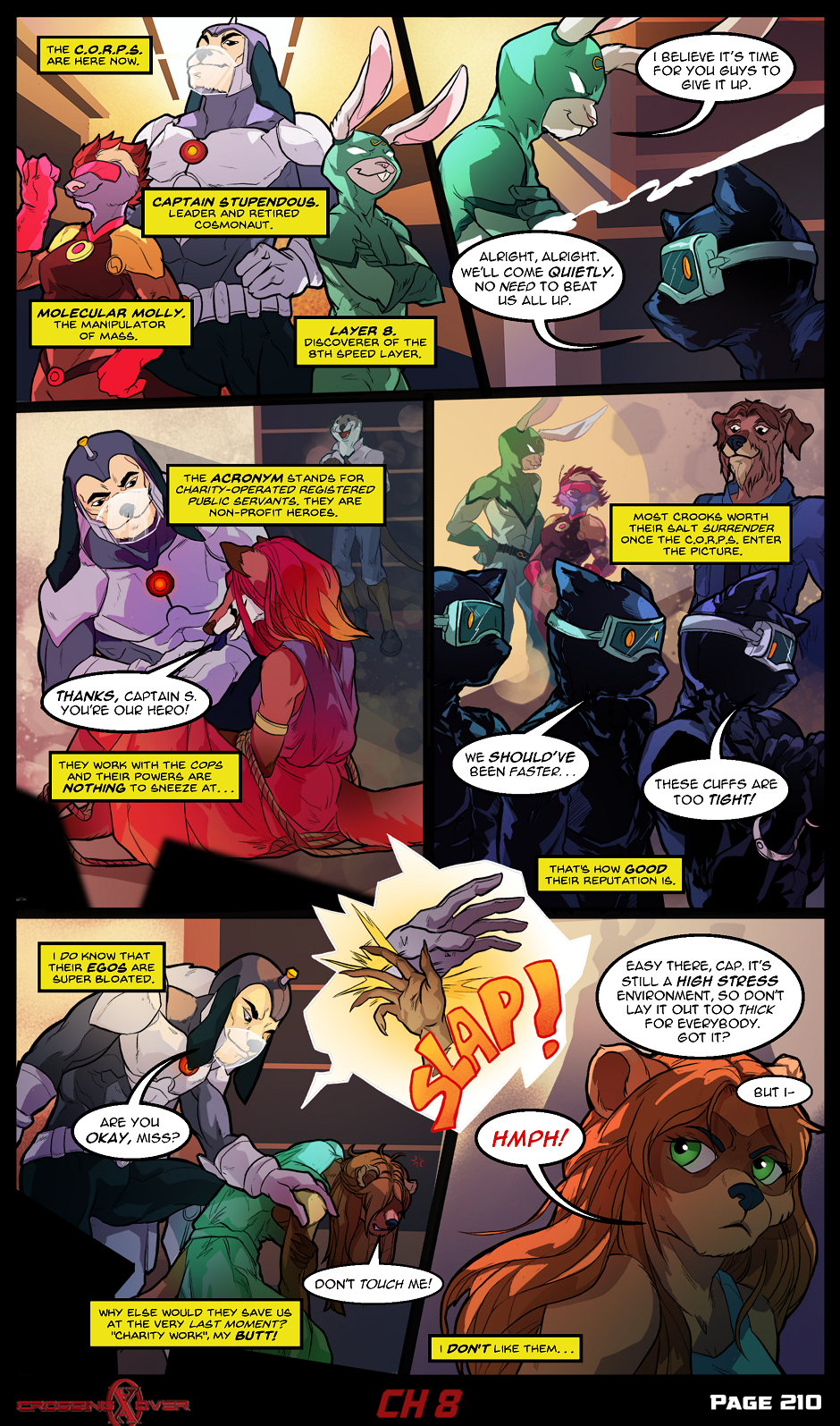 Page 210 (Ch 8)