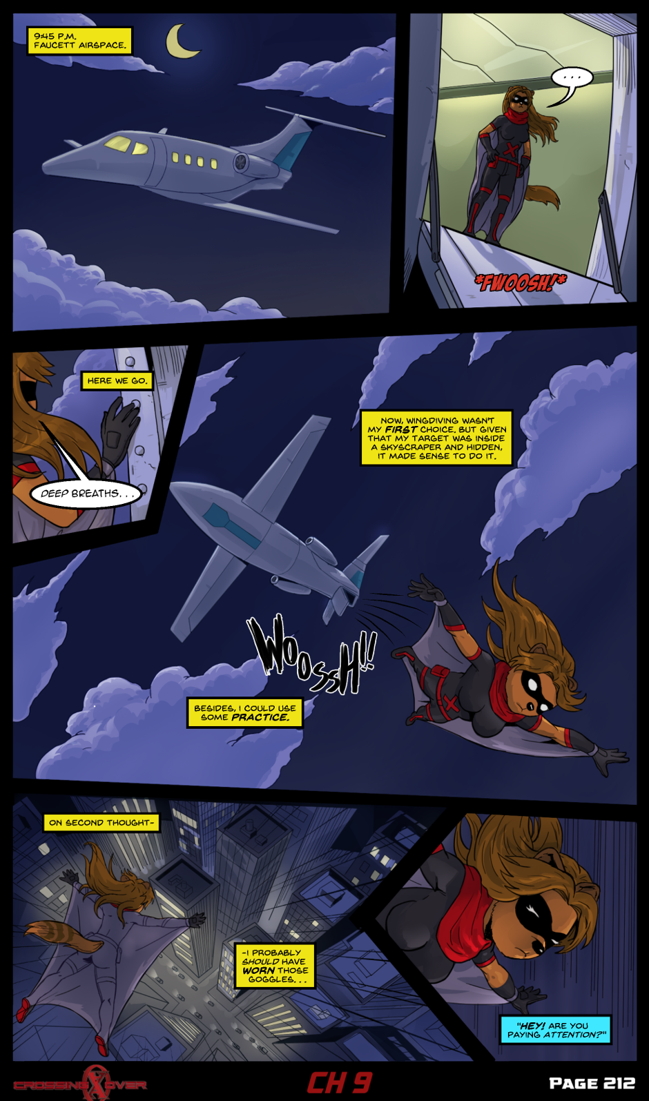 Page 212 (Ch 9)
