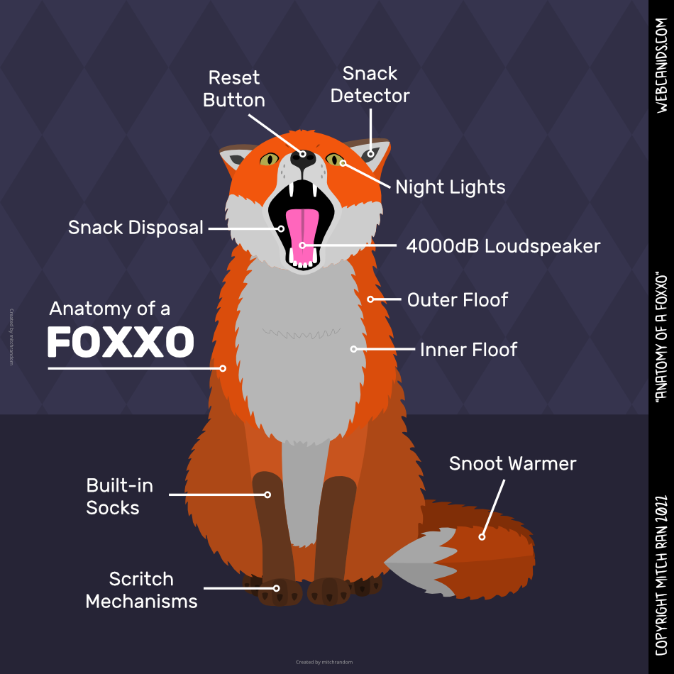 Anatomy of a Foxxo