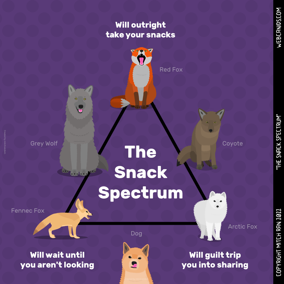 The Snack Spectrum
