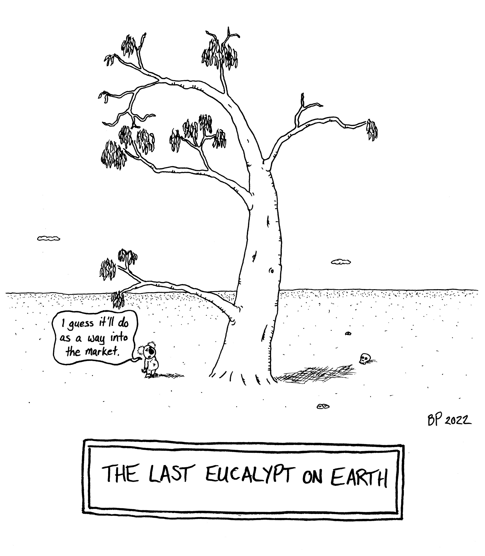 the-last-eucalypt-on-earth-i-guess-it-ll-do