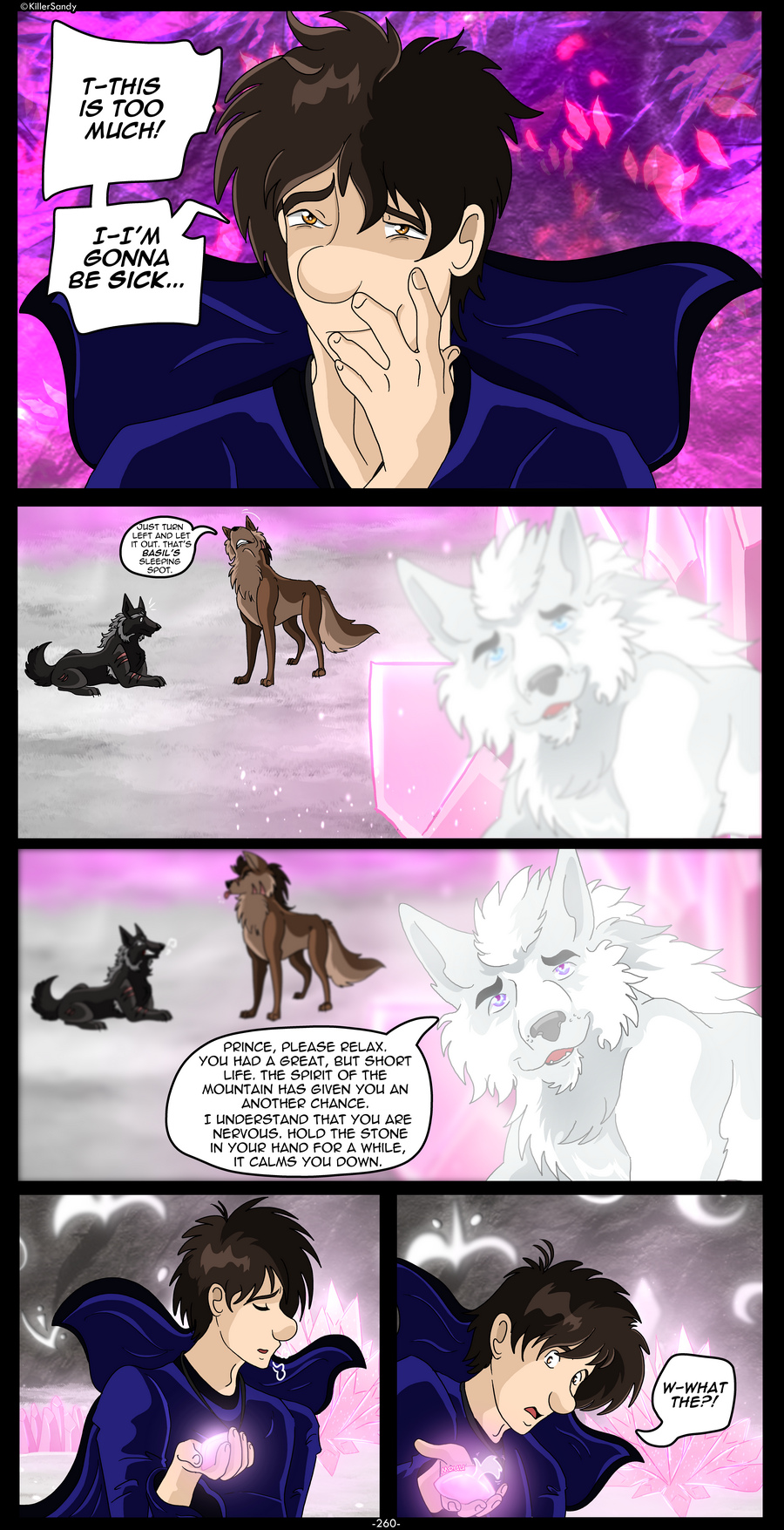 The Prince of the Moonlight Stone page 260