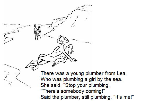 A plumber from Lea