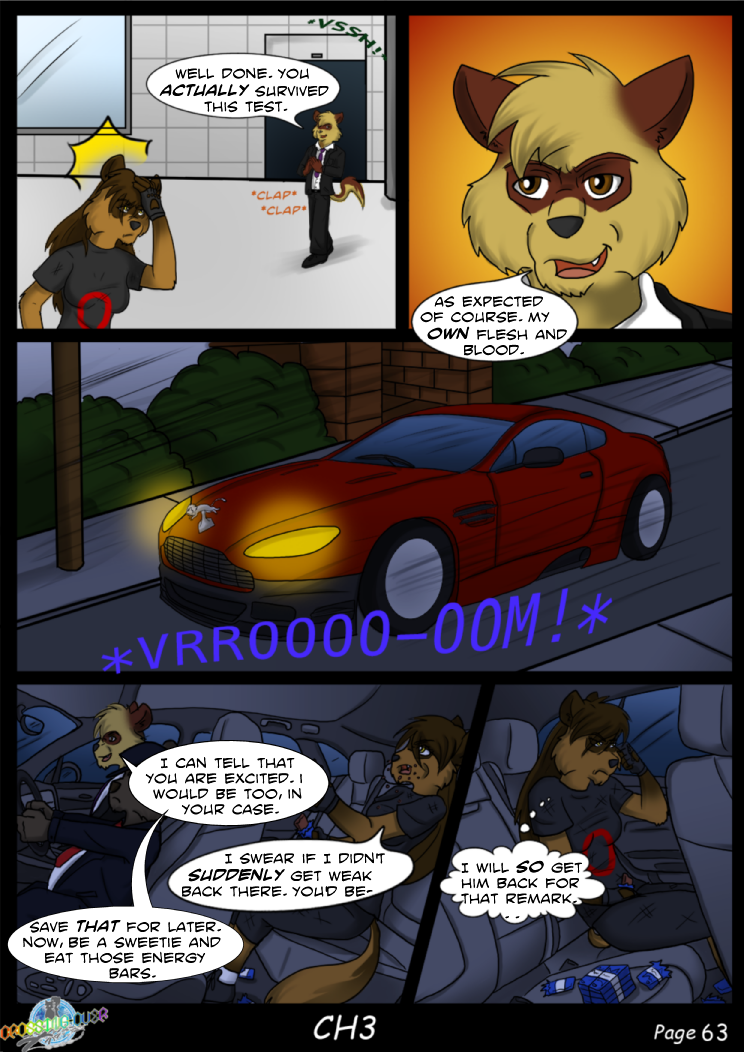 Page 63 (Ch 3)