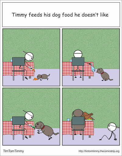 Feeding the dog