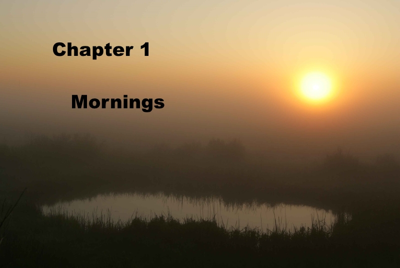 Chapter 1: Mornings