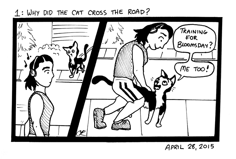 Why Did The Cat Cross The Road?