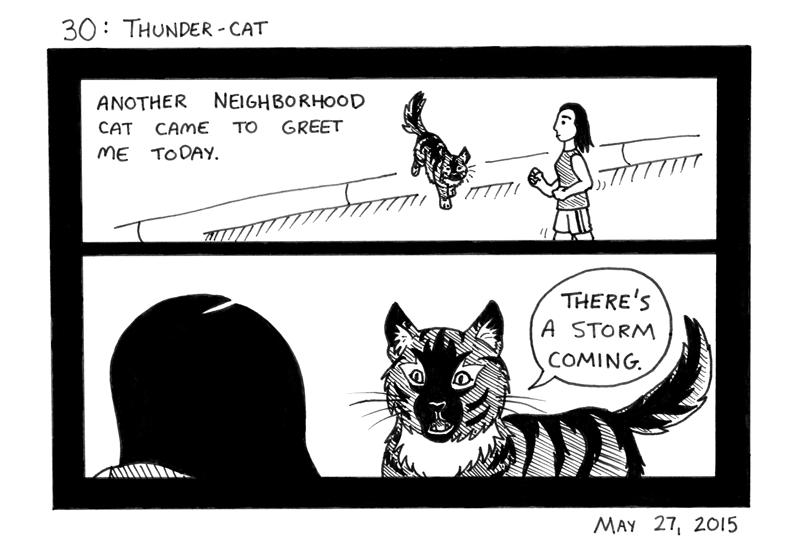 Thunder-cat