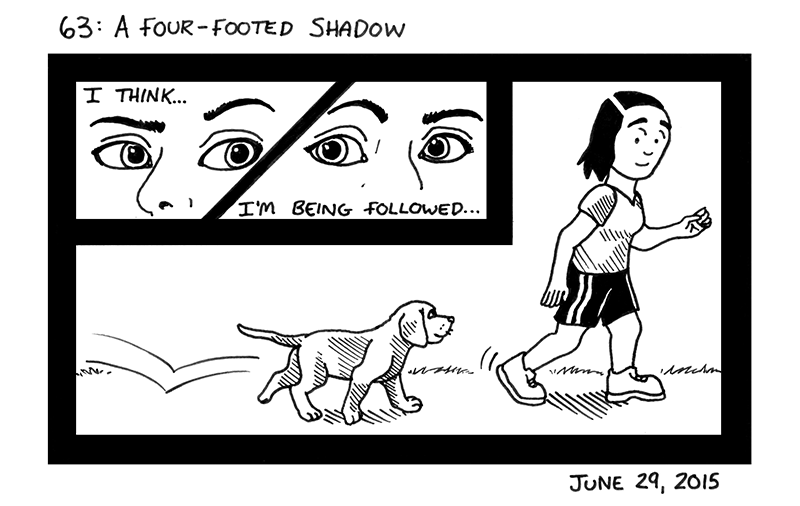A Four-Footed Shadow