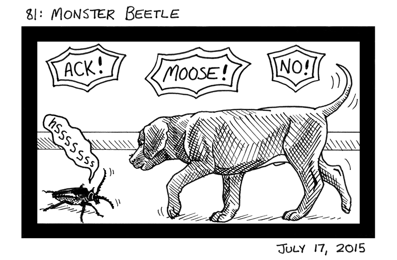 Monster Beetle