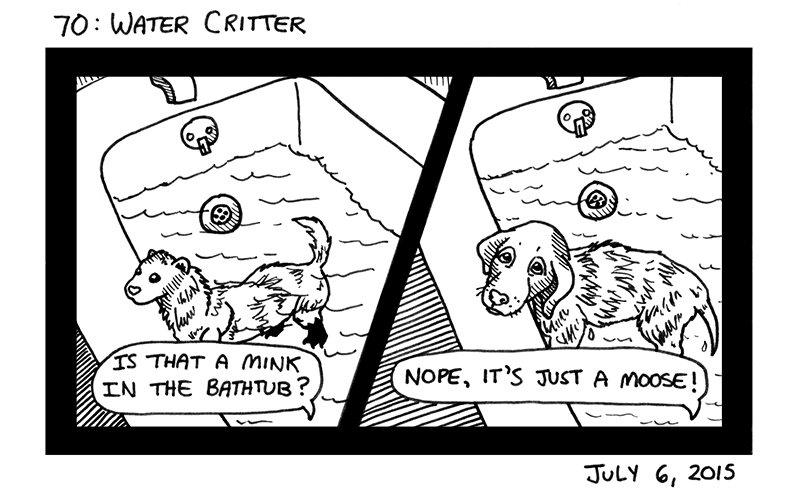 Water Critter