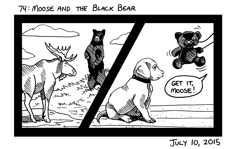 Moose and the Black Bear