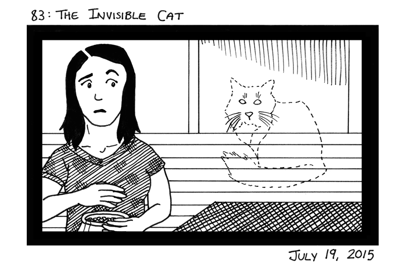 The Invisible Cat