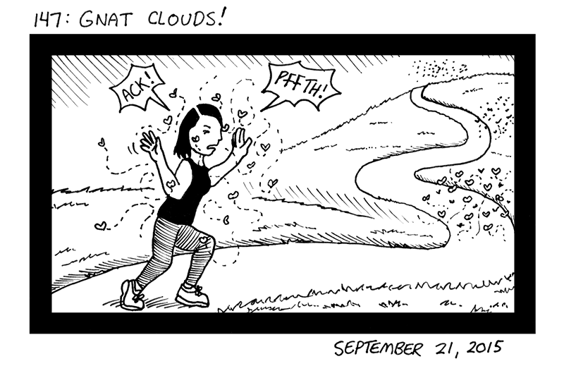 Gnat Clouds!