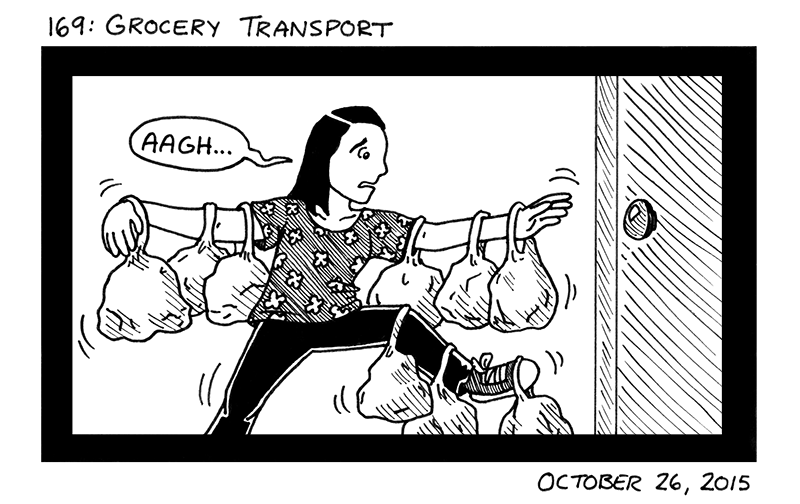 Grocery Transport
