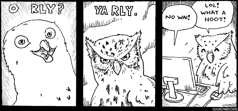 O RLY? Owls