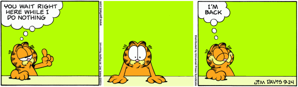 Silly Garfield!